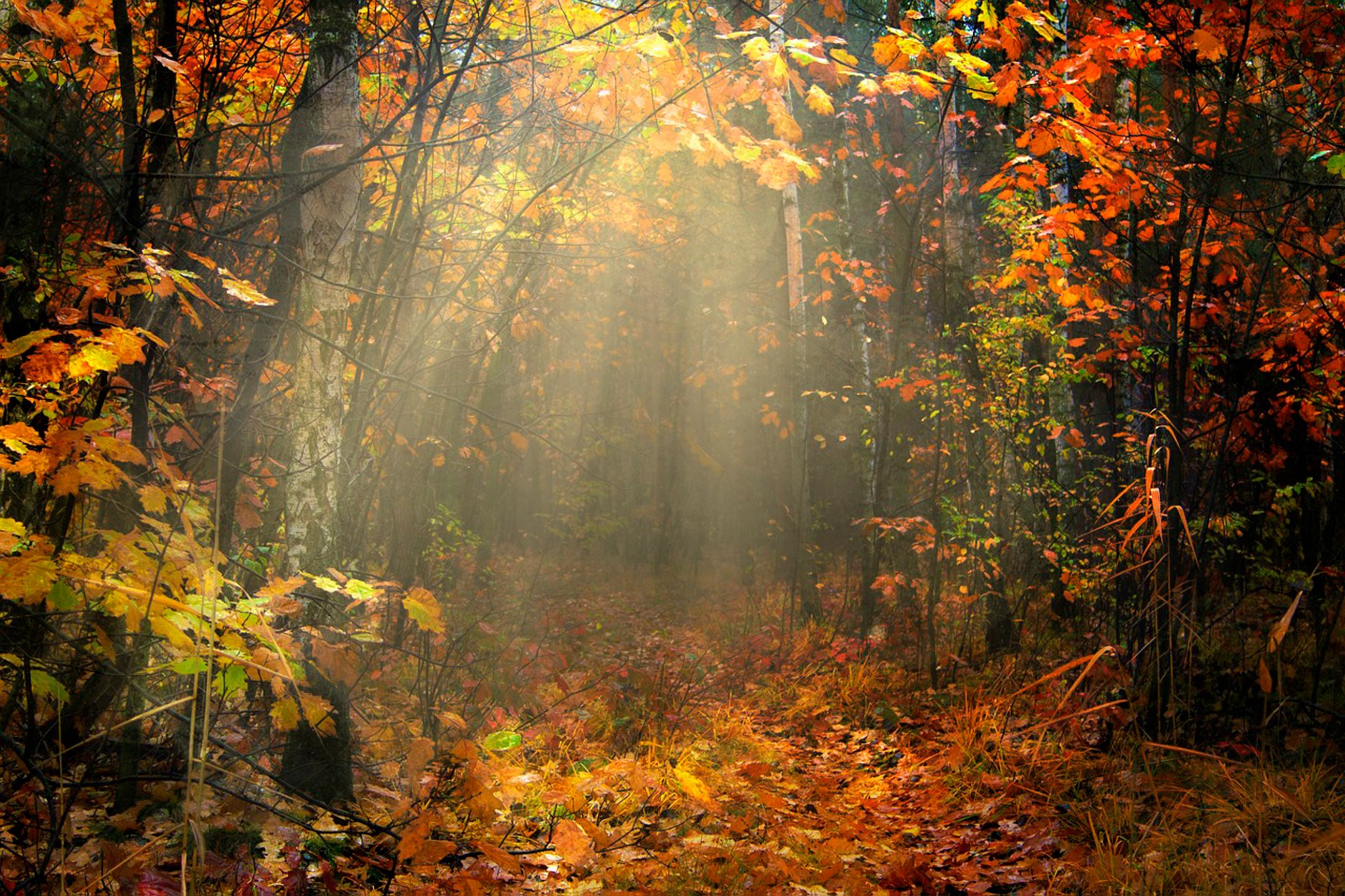 Obsèques Agnès Aumis